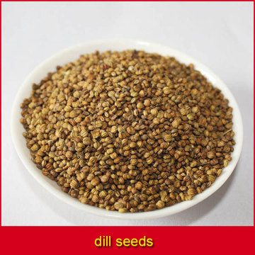 dill seeds