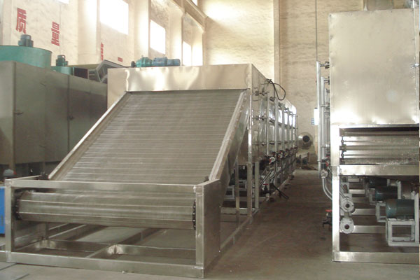 Mesh-Belt Drier for Vegetable Dehydration