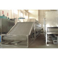 Conveyor Belt Dryer