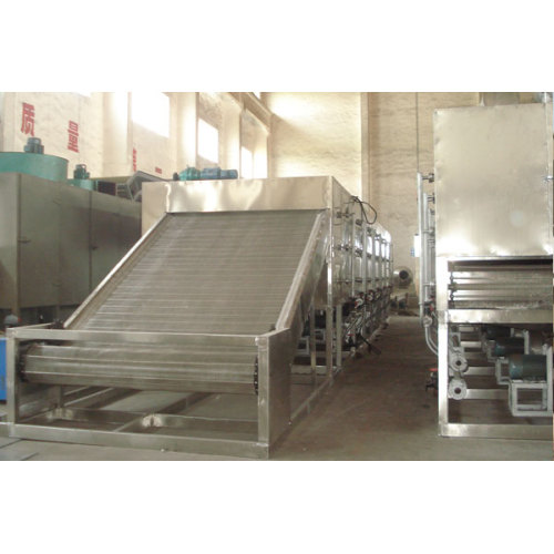 Shredded Coconut Continuous Conveyor Mesh Belt Dryer