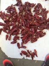 Yidu chili pepper 50kg/bag