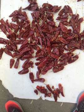 Yidu chili pepper 50kg/bag