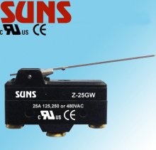 Z-20GW microswitch