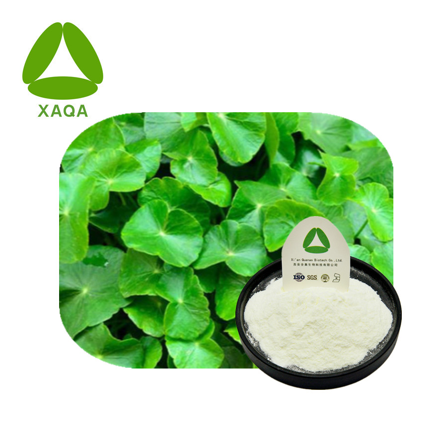 Centella asiatica extrahierte Madecassic Acid 98% Pulver