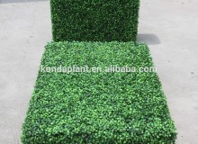 Artificial green wall