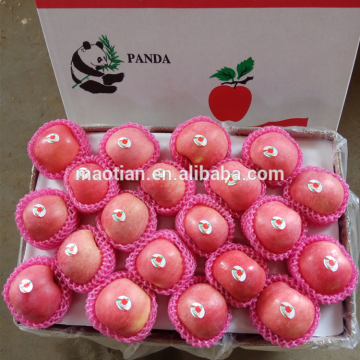 Yantai Fresh Sugar Apple for Sale