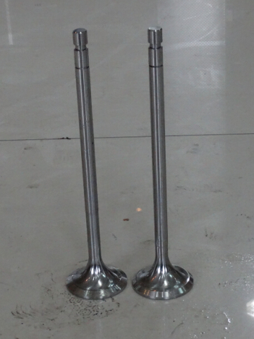 Train Exhaust Engine Valve from Factory