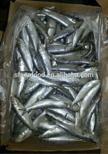 sardine natural resources