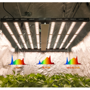 Led Grow Light 1000W per il sistema idroponica