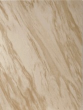 Noble Decorated UV Panel