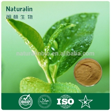 Matcha Green Tea Powder Organic Benefit/Free Sample Instant Matcha Green Tea Powder