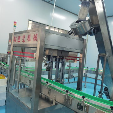 Servo 3-Head Capping Machine for PET Bottles