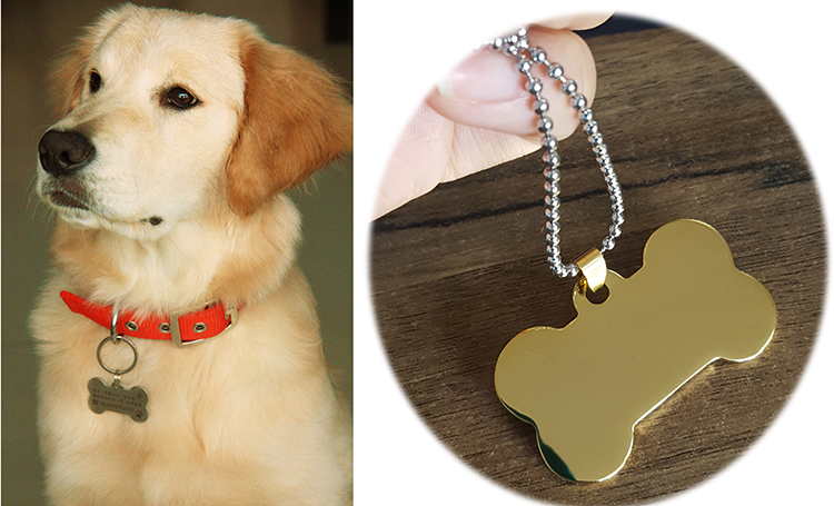 DETAIL dog neck tag