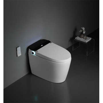 Sanitary Ware Floor Mounted One-Piece Intelligent Toilet