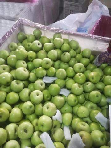 green apple in 30/40 pounds carton