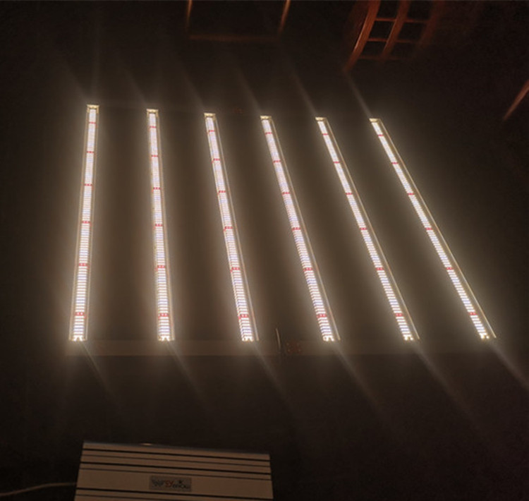 WENYI wholesale best selling 640w led grow light