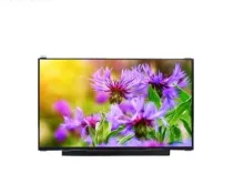 Rg133xxs-01 Industrial 13.3inch LCD Display Multi-Media Application IPS