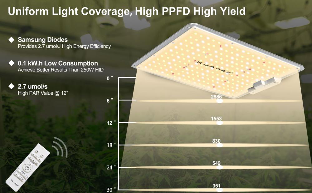 Indoor Plant Lights with Changeable CCT