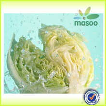 Bulked Chinese Fresh cabbage for sale, fresh vegetables, good quality