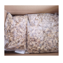 New season frozen clams without shell healthy good taste cooked clam meats detail