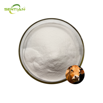 Premium Bovine Collagen Extract for Nutraceutical Use