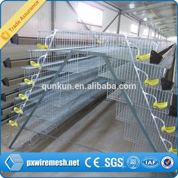 metal wire cage for quail,automatic quail cage,quail cage