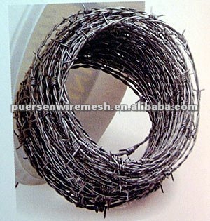 military barbed wire fence