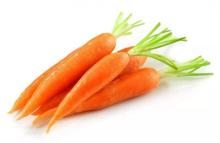 Good Quality Selected Fresh Carrot