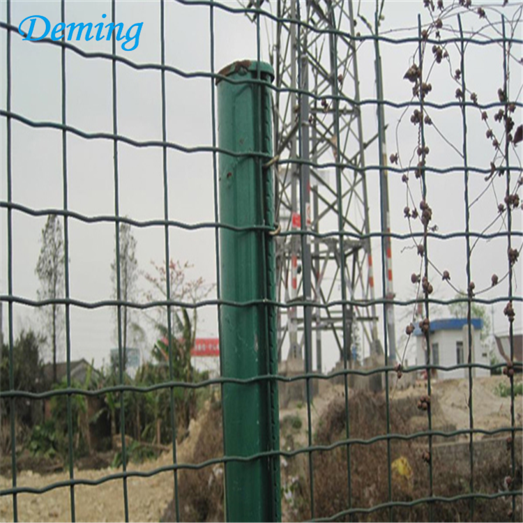 electric galvanized pvc welded wire mesh holland netting