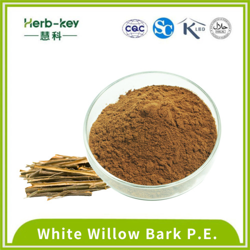 15% white willow bark extract brown powder