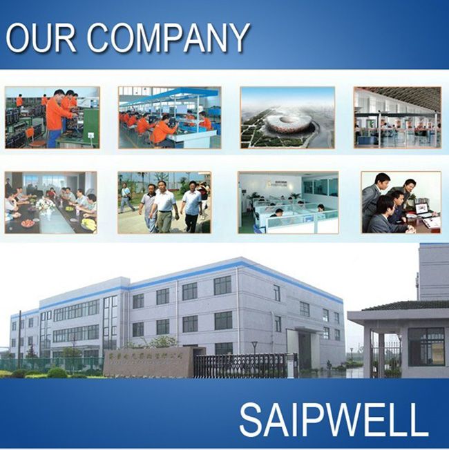 SAIPWELL IP66 Waterproof Crane Control Panel