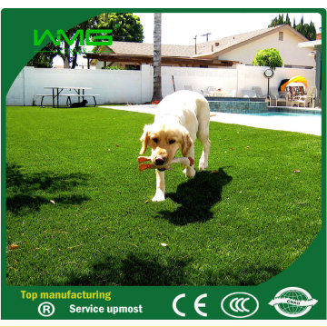 Pet Cesped Artificial Grass