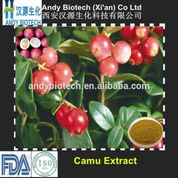 High Quality Camu Camu Extract on Hot Sale