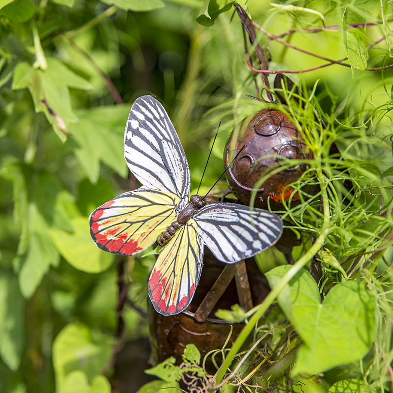 Significado de la mariposa de Pascua