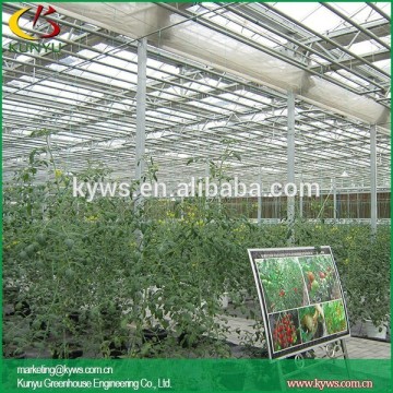 Sawtooth type greenhouse glass suppliers portable greenhouse