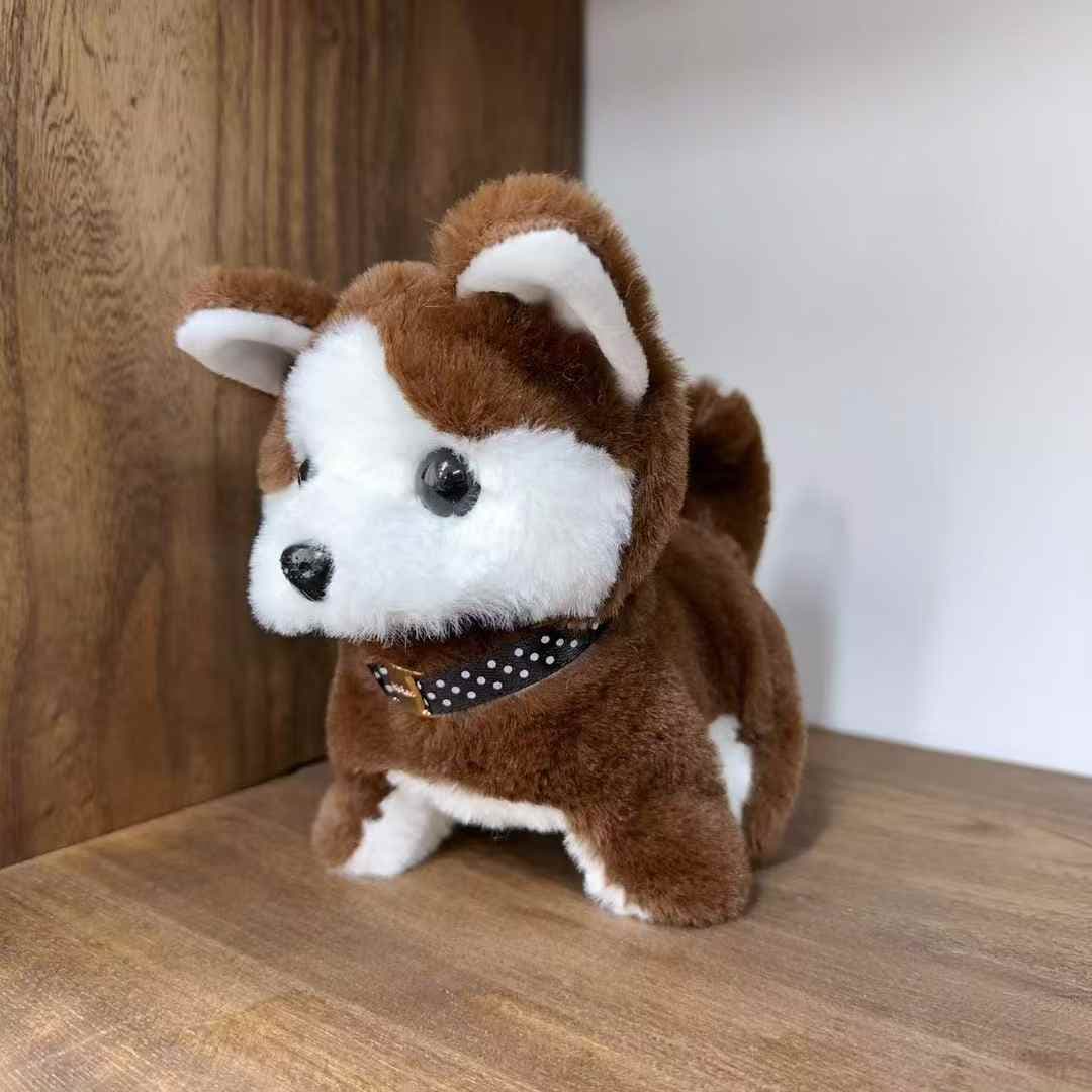 W2A05 Small Upright Ear Color-block Puppy W2A05 Small Upright Ear Color-block Puppy