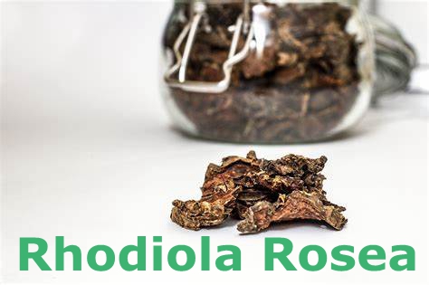 Rhodiola rosea extract powder