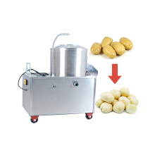 Potato Washing and Peeling Machine - Potato Peeling Machinery