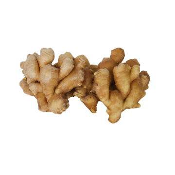 Supply Good Qualituy Fresh Ginger