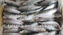 2016 Best Quality Canned Sardine from China