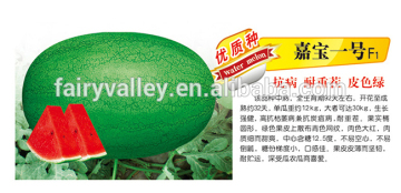 Chinese Hybrid F1 Sweet Watermelon Seed For Growing-Garbo NO.1 F1