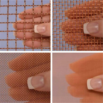 copper/brass/phosphor bronze wire mesh