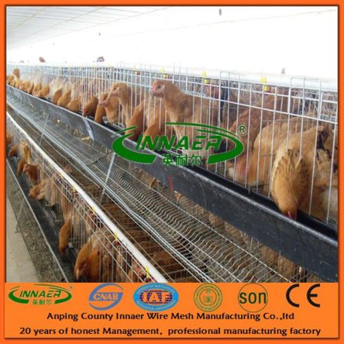 2014 Innaer Poultry Farming Equipments for Poultry Chickens