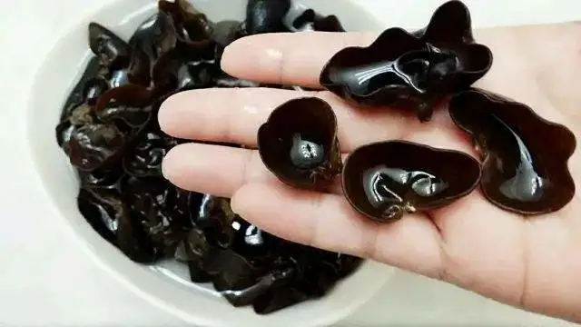 Mu Er Mushroom Black Fungus