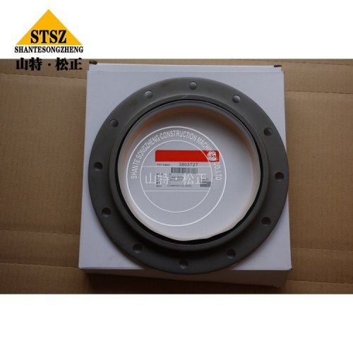 4VBE34RW3 Ersatzteile Seal Kit 3803727