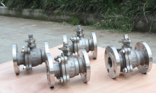 NAB C95800 Check Valves