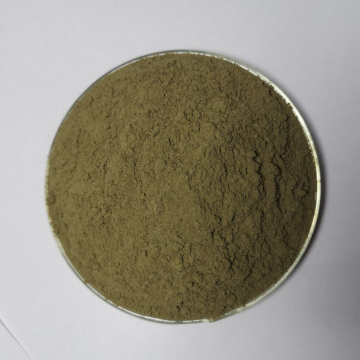 100% pure Organic Young Buckwheat Grass Powder