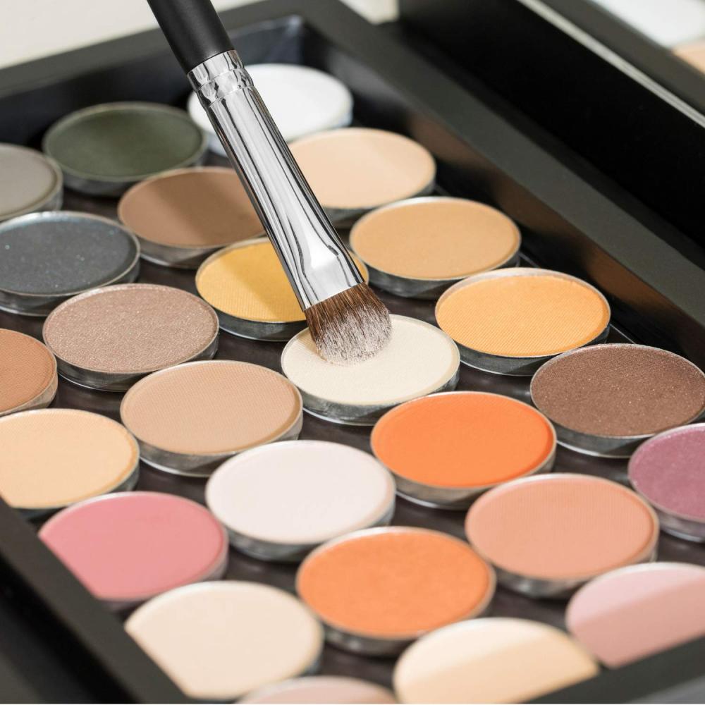 Professional Makeup Eyeshadow Brush