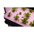 Simple Led Grow Light Hydroponic Systems Grow System