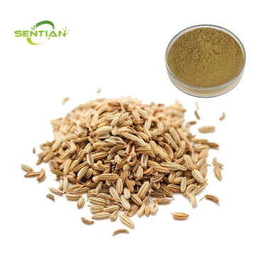 Hot Sale Fennel Extract